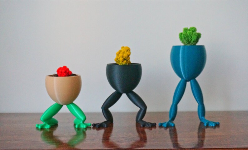 May include: Three 3D printed planters shaped like frogs with legs, each holding a different succulent plant. The planters are brown, black, and blue.
