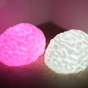 May include: Two brain-shaped lamps, one is pink and the other is white. The lamps are lit and casting a soft glow.