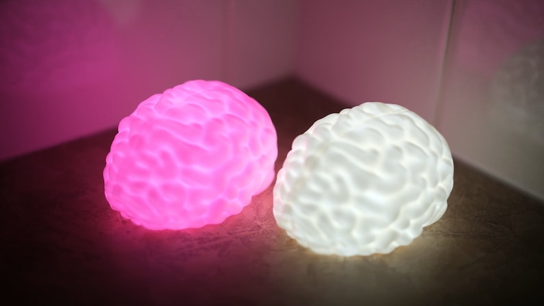 May include: Two brain-shaped lamps, one is pink and the other is white. The lamps are lit and casting a soft glow.