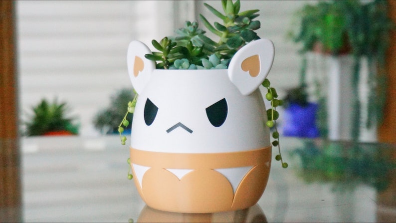 May include: White ceramic planter shaped like a cartoon animal with a grumpy expression. The planter has orange accents and is filled with green succulents.