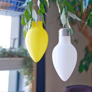 May include: Two decorative light bulbs, one yellow and one white, suspended from a leafy branch. The bulbs have a teardrop shape and a silver base, resembling oversized light bulbs. The background includes a window and indoor plants.