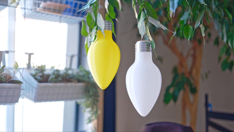 May include: Two decorative light bulbs, one yellow and one white, suspended from a leafy branch. The bulbs have a teardrop shape and a silver base, resembling oversized light bulbs. The background includes a window and indoor plants.