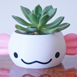 Peut inclure: Un pot en céramique blanche en forme d'axolotl avec des nageoires roses, contenant une plante succulente verte.