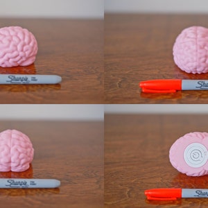 May include: Four images of a pink brain-shaped stress ball. The brain is shown from different angles. A red and gray Sharpie marker is in front of the brain in each image.