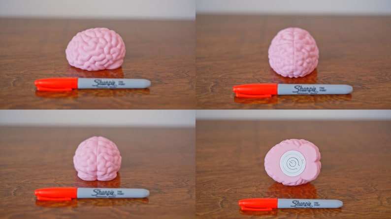 May include: Four images of a pink brain-shaped stress ball. The brain is shown from different angles. A red and gray Sharpie marker is in front of the brain in each image.