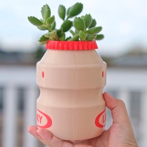 May include: A beige, bottle-shaped planter with a red cap, holding a green succulent plant. The planter has red circular accents and the word "LUCKY" in red. The planter is held in a hand.