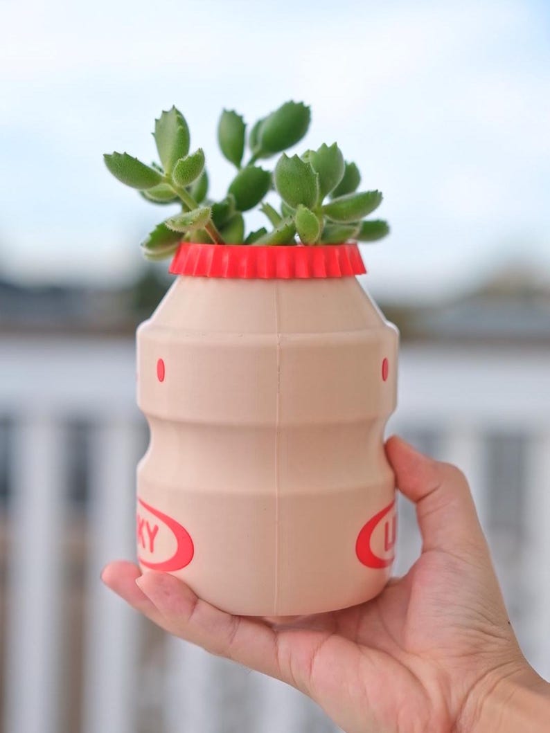 May include: A beige, bottle-shaped planter with a red cap, holding a green succulent plant. The planter has red circular accents and the word "LUCKY" in red. The planter is held in a hand.