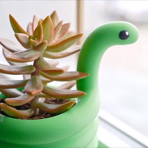 May include: A green snake-shaped planter holding a succulent plant. The succulent has fleshy, reddish-brown leaves. The planter has a whimsical design, with a snake head and a round eye. The planter is sitting on a windowsill.