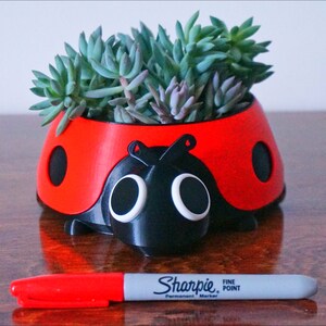 Puede incluir: Una maceta roja y negra con forma de mariquita llena de suculentas verdes. Un rotulador Sharpie rojo con el texto "Sharpie Fine Point" est&aacute; delante de la maceta. La maceta est&aacute; sobre una superficie de madera.