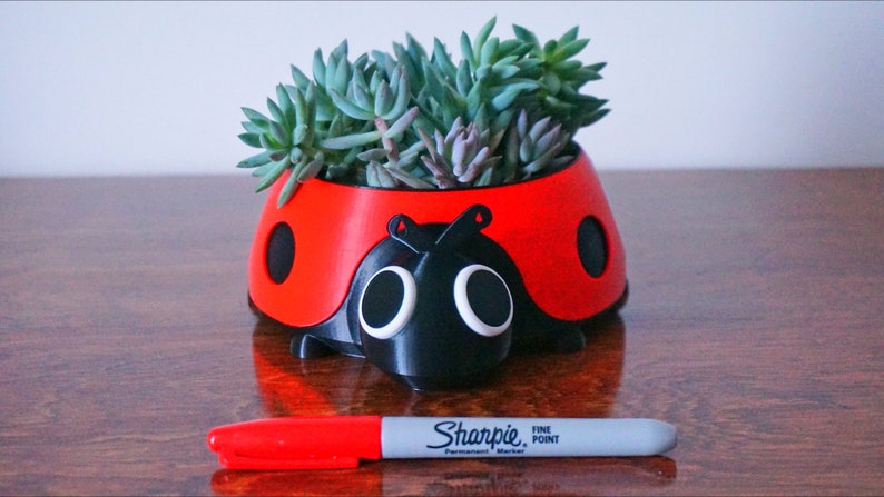 Puede incluir: Una maceta roja y negra con forma de mariquita llena de suculentas verdes. Un rotulador Sharpie rojo con el texto "Sharpie Fine Point" est&aacute; delante de la maceta. La maceta est&aacute; sobre una superficie de madera.