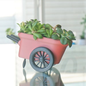 May include: A pink miniature wheelbarrow planter with black wheels, filled with green succulents.