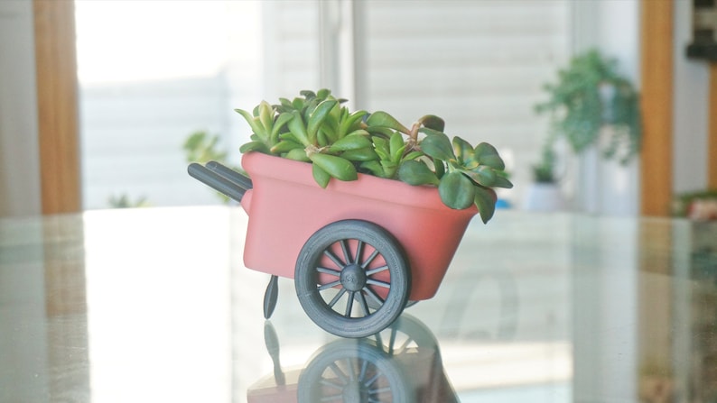 May include: A pink miniature wheelbarrow planter with black wheels, filled with green succulents.