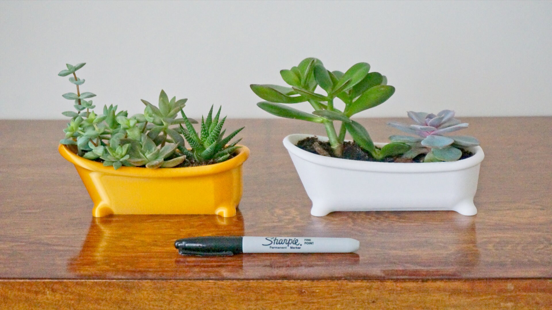 Bathtub Succulent Planter: Plastic Bath Shaped Desk Decor - Etsy