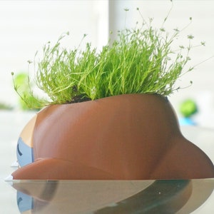 May include: A brown ceramic planter shaped like a cartoon animal with green leafy plants growing out of the top.
