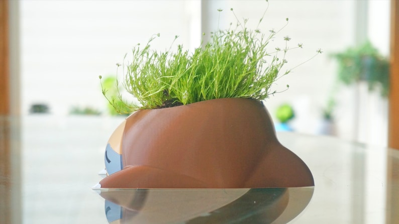 May include: A brown ceramic planter shaped like a cartoon animal with green leafy plants growing out of the top.