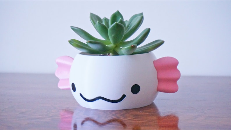 K&ouml;nnte beinhalten: Wei&szlig;er Keramik-Pflanztopf in Form eines Axolotls mit rosa Flossen, der eine gr&uuml;ne Sukkulente beherbergt.