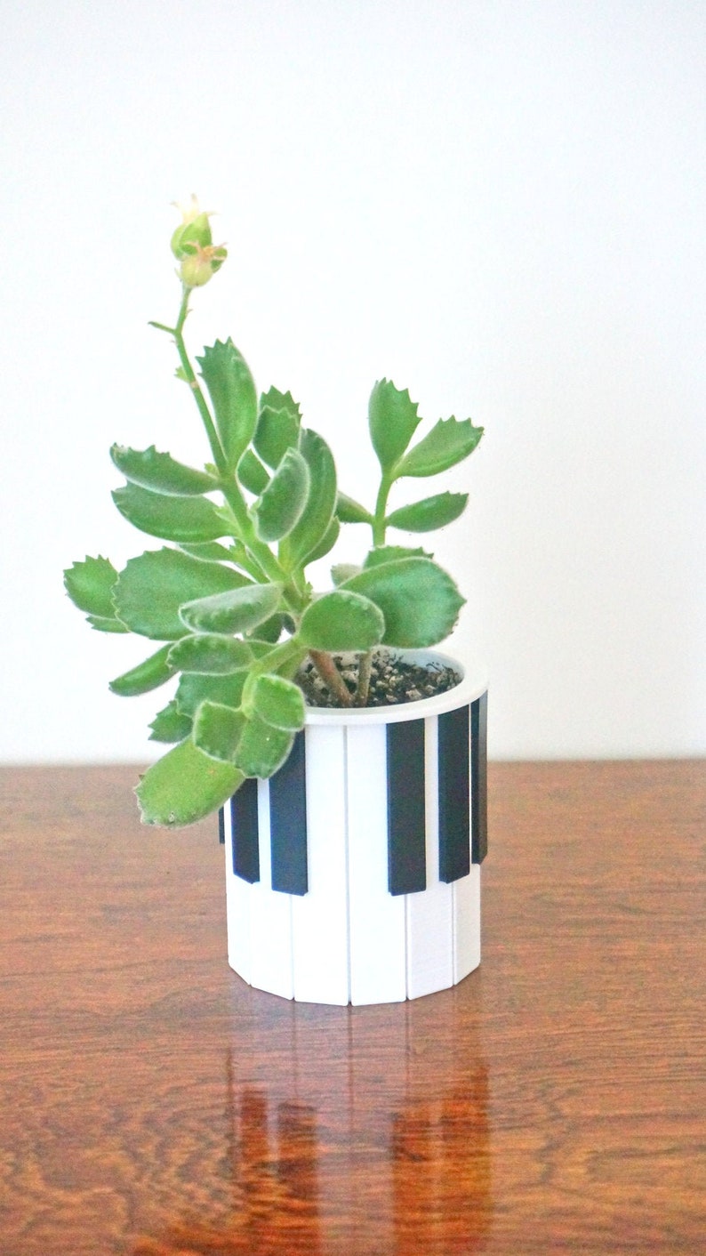 Piano Keys Planter / Pen Pencil Holder Pianist Succulent Planter Orchestra Gift for Pianist Musician Gift Music Desk Decor Minimalist image 3