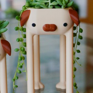 May include: A white ceramic planter shaped like a dog with brown ears and a nose. The planter has four legs and is holding a succulent plant with green leaves.