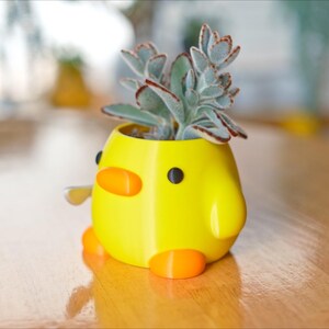 May include: A yellow, duck-shaped planter with orange beak, feet, and wing details, holding a succulent plant with green and red-tipped leaves. The planter is on a wooden table.