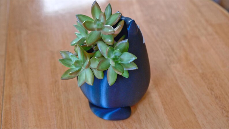 May include: A dark blue, teardrop-shaped planter holding a succulent plant. The succulent has green leaves with reddish edges. The planter is sitting on a wooden surface. The planter has a unique, modern design.