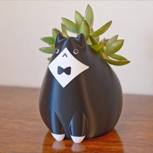 May include: A black and white cat-shaped planter with a bow tie and a succulent plant. The planter has a tuxedo design with white accents on the face and feet. The succulent has green leaves.