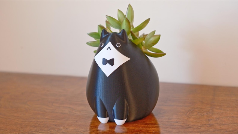 May include: A black and white cat-shaped planter with a bow tie and a succulent plant. The planter has a tuxedo design with white accents on the face and feet. The succulent has green leaves.
