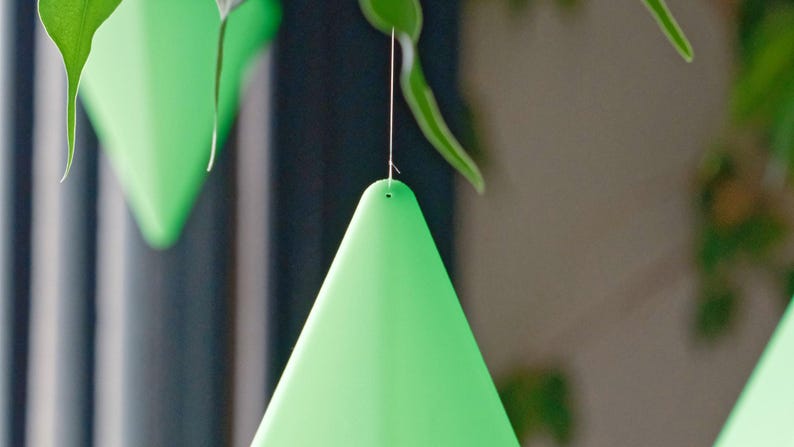 May include: A green, cone-shaped insect trap hangs from a string. The trap is made of a thin, flexible material and has a small hole at the top.