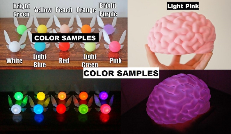 May include: Color samples of a brain-shaped night light in light pink and purple. The light is shown on and off. The color samples are shown in a variety of colors, including white, light blue, red, light green, pink, bright green, yellow, peach, orange, and bright purple.