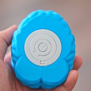 May include: A blue brain-shaped stress ball with a white circle on the bottom. The circle has a power button symbol.