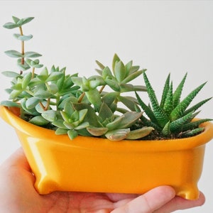 Bathtub Planter, Plastic Succulent Planter, Cute Bathroom Planter, Bath Shaped Desk Decor, Office Supply Organizer, Plastic Tub Pot