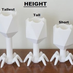May include: Three white, geometrically shaped, 3D printed planters with legs, labeled "Tallest", "Tall", and "Short" to show their relative heights.  The planters are on a wooden surface.