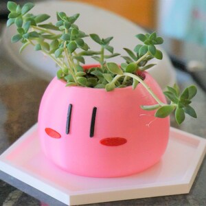 Puede incluir: Una maceta de cer&aacute;mica rosa con forma de dango japon&eacute;s con ojos negros y mejillas rojas, que contiene una peque&ntilde;a planta suculenta.
