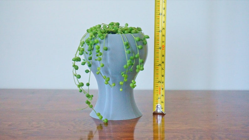 May include: A small, gray ceramic pot with a unique shape holds a string of pearls plant with green leaves and small, round, green beads. A yellow measuring tape is next to the pot.