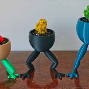 May include: Three frog-leg plant pots with different colored pots and plants. The pots are brown, black, and blue. The plants are red, yellow, and green.