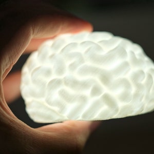 Brain LED Night Light: 3D Printed Novelty Gift, Science Decor image 3