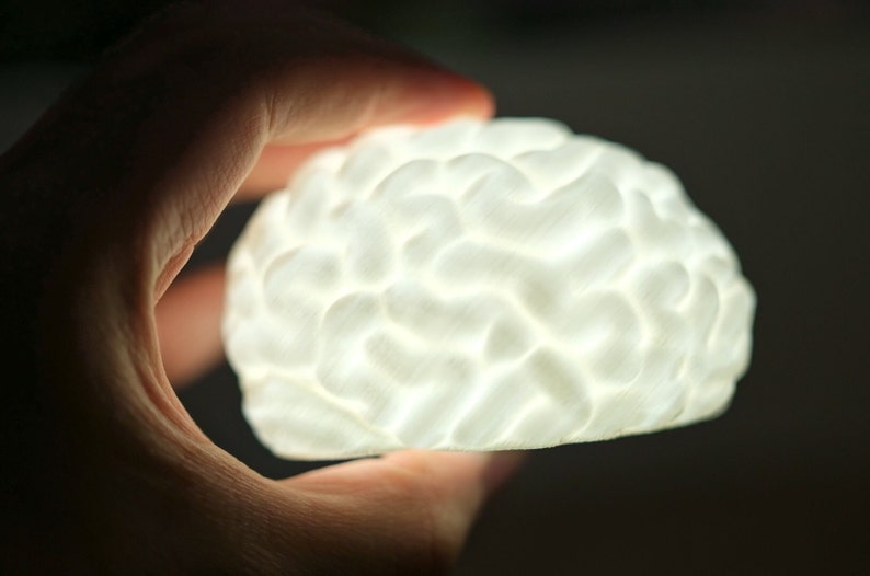 Brain LED Night Light: 3D Printed Novelty Gift, Science Decor image 3