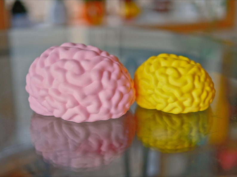 May include: Two brain-shaped objects, one pink and one yellow, sit side-by-side on a reflective surface. The pink brain is on the left, and the yellow brain is on the right. The objects are likely toys or decorative items.
