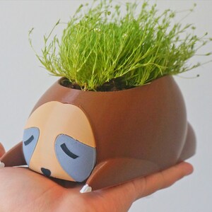 May include: A brown and tan ceramic planter shaped like a sleeping sloth with a small green plant growing out of the top.