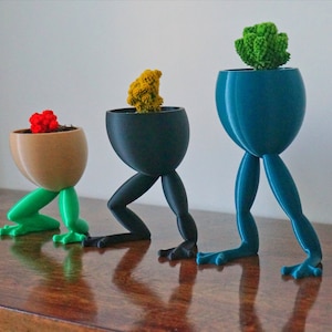 Fitness Frog Planter, Animal Lover Gift, Office Supply Organizer, Succulent Plant Pot, Biology Science Gift, Desk Decoration 3D Printed LEGS