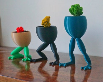 Fitness Frog Planter, Animal Lover Gif, Office Supply Organizer, Succulent Plant Pot, Biology Science Gift, Desk Decoration 3D Printed LEGS