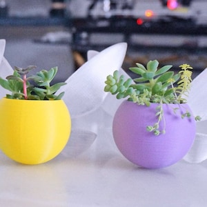 Puede incluir: Dos peque&ntilde;as macetas colgantes redondas, una amarilla y otra morada, con plantas suculentas creciendo en su interior.