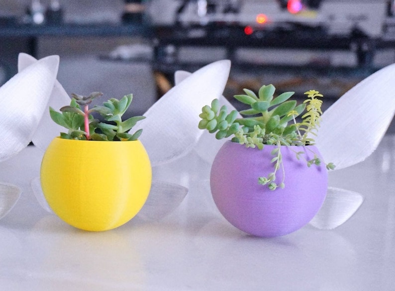 Puede incluir: Dos peque&ntilde;as macetas colgantes redondas, una amarilla y otra morada, con plantas suculentas creciendo en su interior.