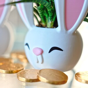 May include: Two white ceramic bunny planter pots with pink ears. The planter on the right has a green succulent plant growing inside. Both planters are sitting on a white surface with gold chocolate coins scattered around them.