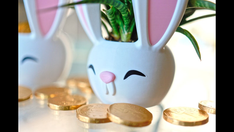 May include: Two white ceramic bunny planter pots with pink ears. The planter on the right has a green succulent plant growing inside. Both planters are sitting on a white surface with gold chocolate coins scattered around them.