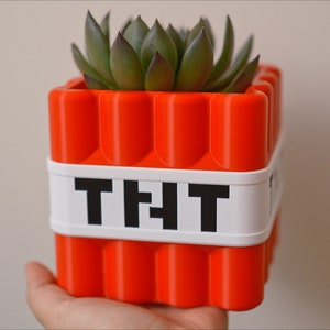 May include: A red and white Minecraft-themed planter with the word "TNT" on the front. A small green succulent plant is growing in the planter.