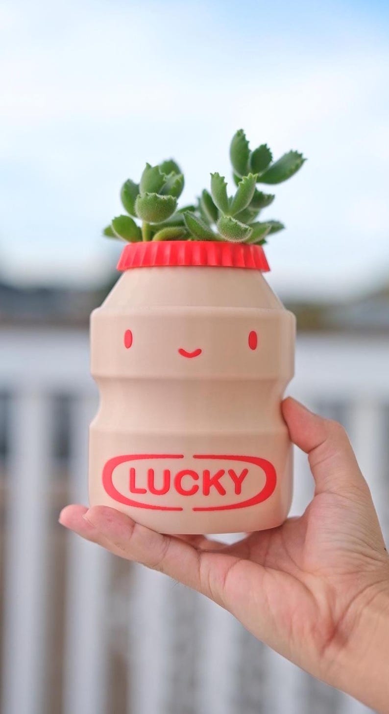 May include: A beige, bottle-shaped planter with a red top and the word "LUCKY" in a red oval. The planter has a smiling face design with red dots for eyes. The planter holds a small green succulent plant.