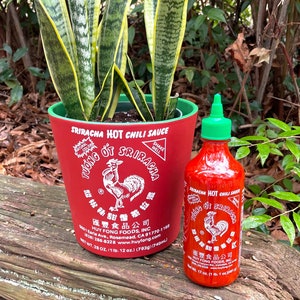 Sriracha Sauce | Flower Pot |  Gift Idea | Hot Sauce | Chili | Foodie Gift | Funny Planter | 7in Pot