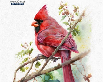 Northern Red Cardinal Oil Painting Watercolor Print, Red Bird Photography, Nature Photo, Wall Art, Red Bird Art Print, Cute Bird Art Print