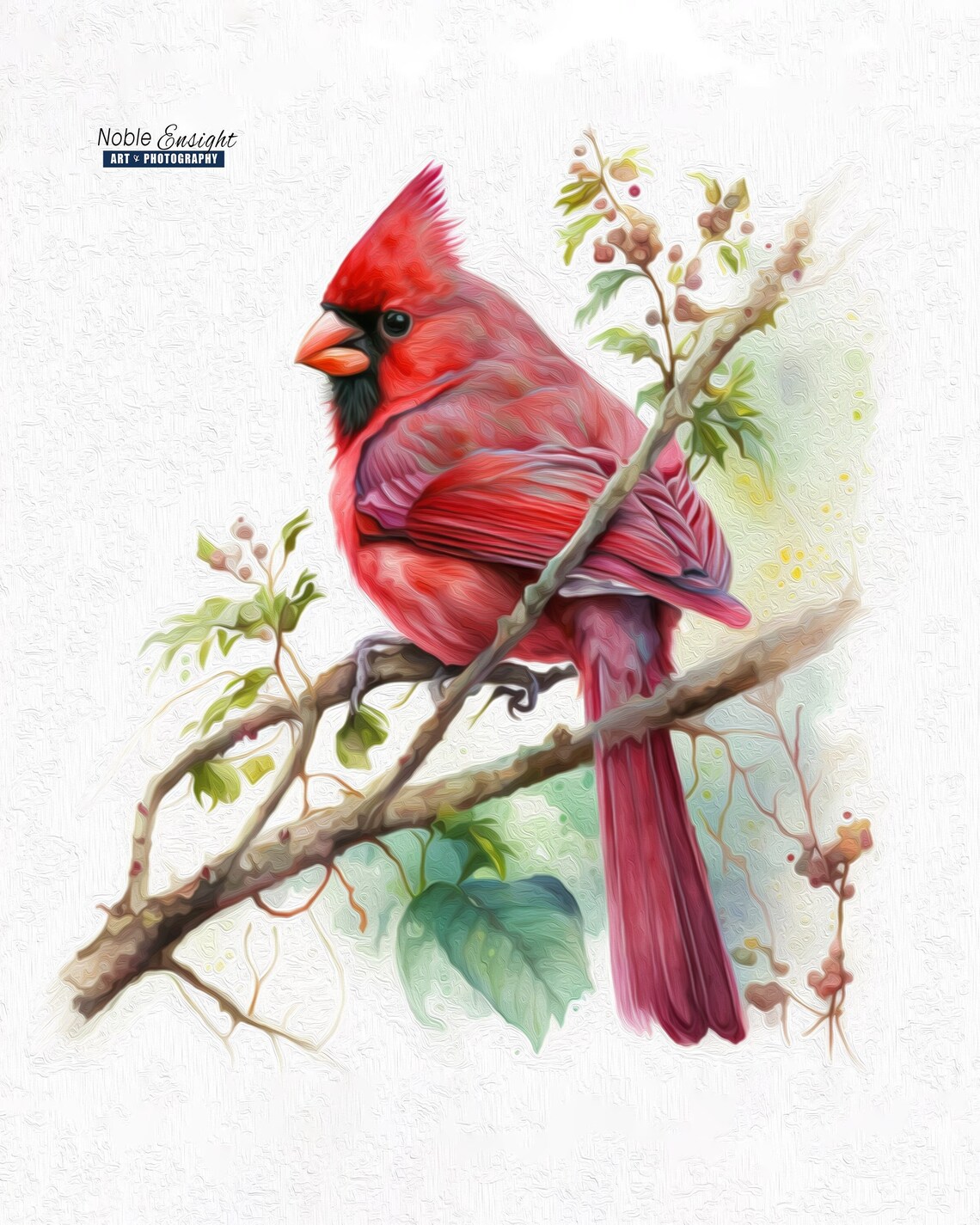 Northern Red Cardinal Oil Painting Watercolor Print, Red Bird