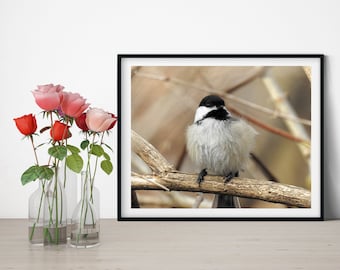 Black-capped Bird, Chickadee Print, Chickadee Painting, Nursery Room Wall Art Decor, Bird Oil Painting